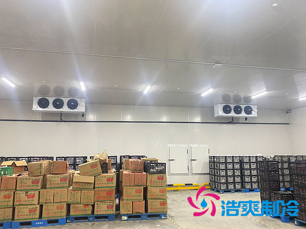 保鲜水蜜桃在线视频安装