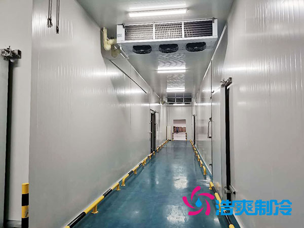 江西水产品水蜜桃在线视频设计多少钱及费用分析