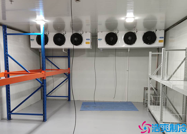 水蜜桃在线视频