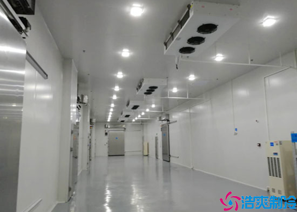 水蜜桃在线视频建设