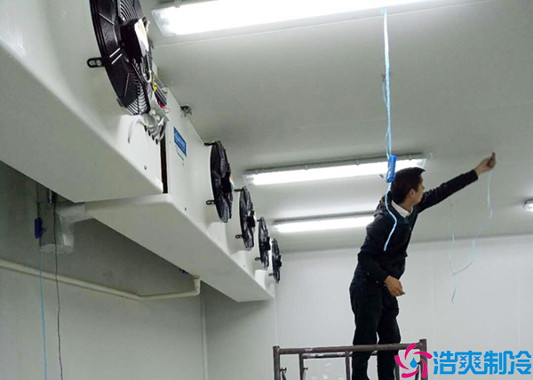 保鲜水蜜桃在线视频