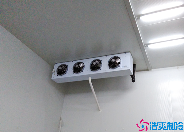 气调水蜜桃在线视频