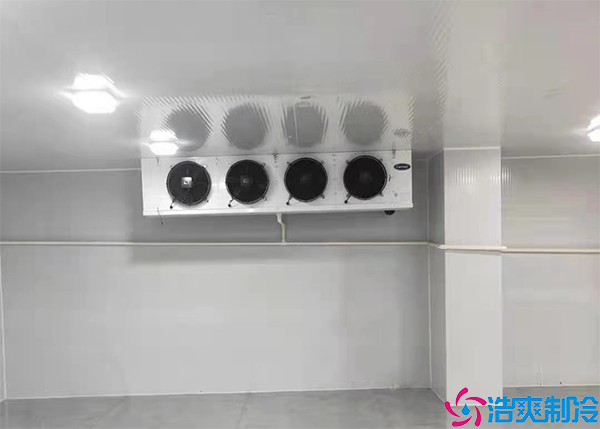 蔬菜保鲜水蜜桃在线视频