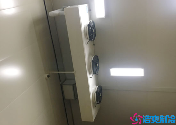 大型冷链物流水蜜桃在线视频