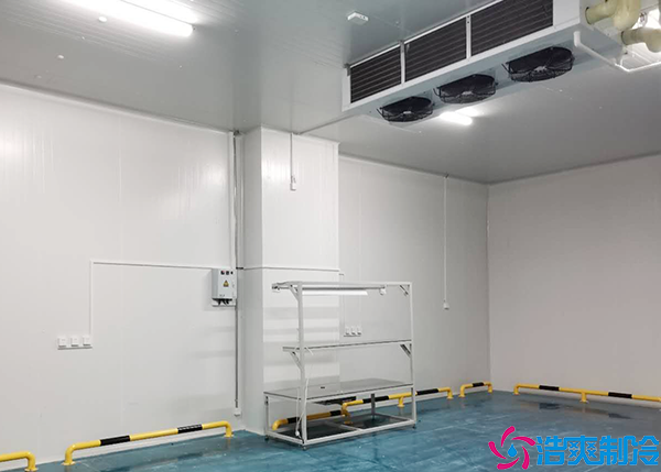 冷藏保鲜水蜜桃在线视频