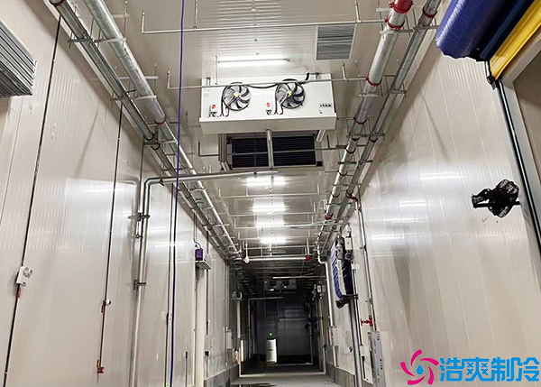 气调水蜜桃在线视频