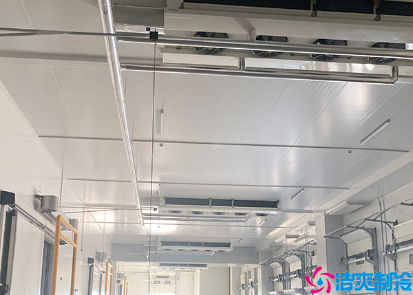 高温水蜜桃在线视频