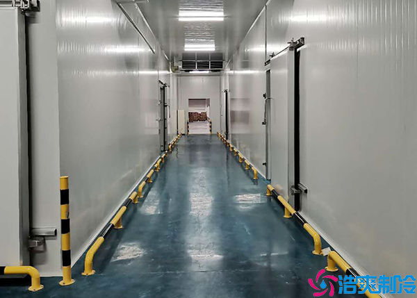 冷链食品水蜜桃在线视频