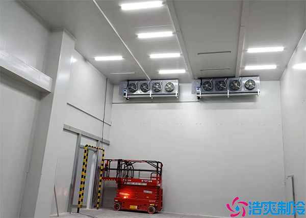 低温速冻水蜜桃在线视频