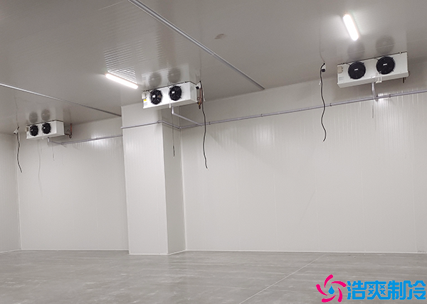 低温速冻水蜜桃在线视频