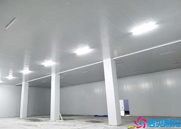 4万吨水蜜桃在线视频