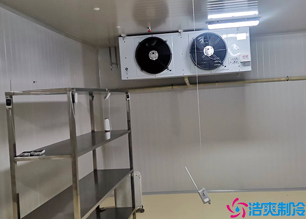 牛肉小型水蜜桃在线视频