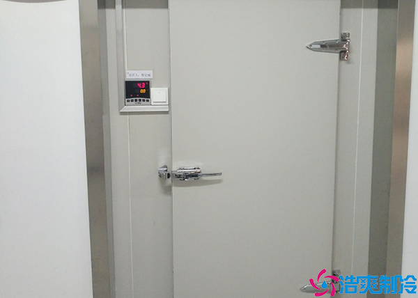 牛肉小型水蜜桃在线视频