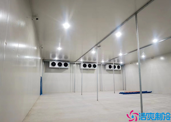 大型生鲜水蜜桃在线视频