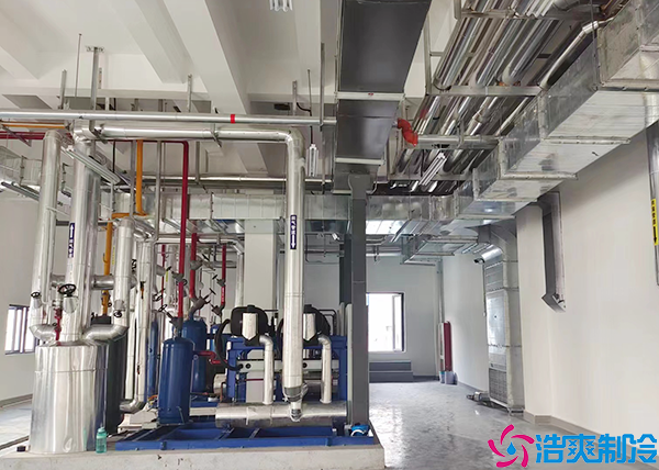 保山定制大型水蜜桃在线视频