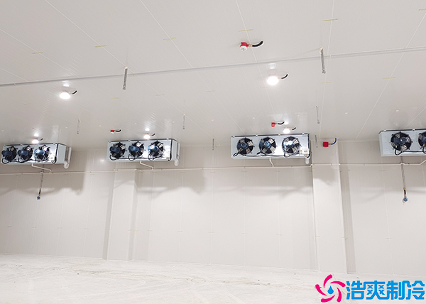 海鲜速冻水蜜桃在线视频