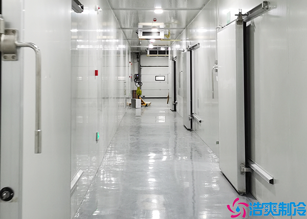 大型水蜜桃在线视频