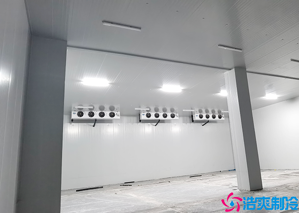 蔬菜保鲜水蜜桃在线视频