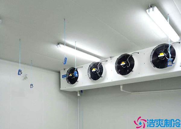 预水蜜桃在线视频