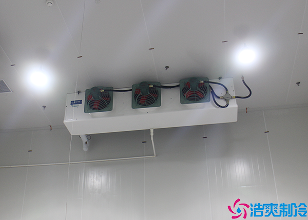 花卉水蜜桃在线视频