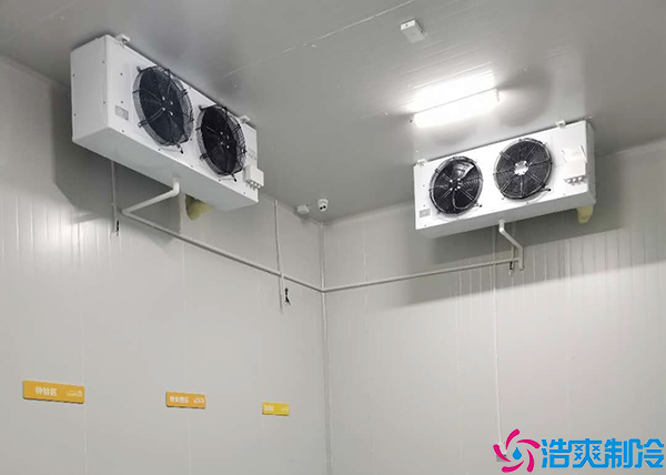 葡萄气调保鲜水蜜桃在线视频