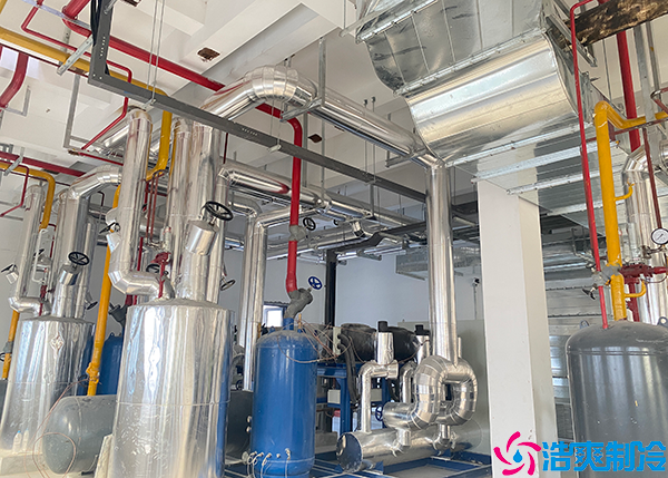 速冻水蜜桃在线视频