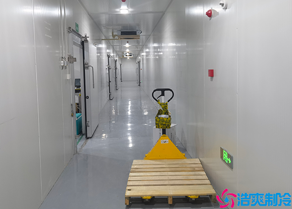 肉类水蜜桃在线视频