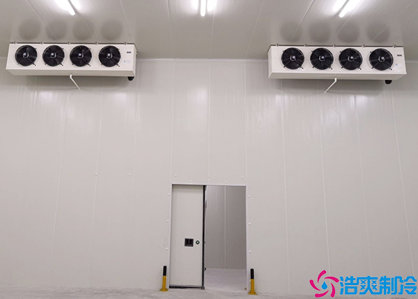 保鲜水蜜桃在线视频