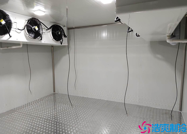 花卉水蜜桃在线视频