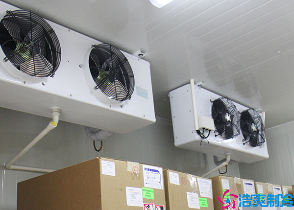 果蔬气调水蜜桃在线视频