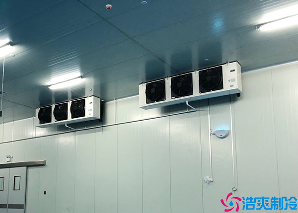 大型低温肉品水蜜桃在线视频