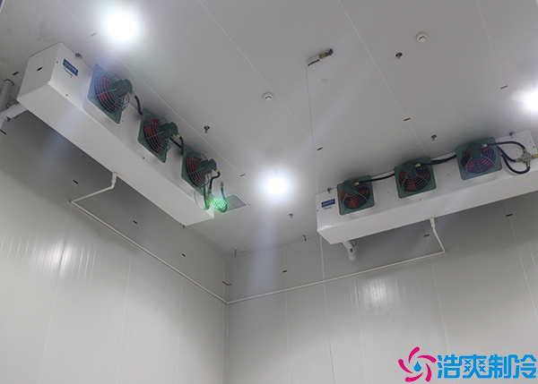 气调水蜜桃在线视频