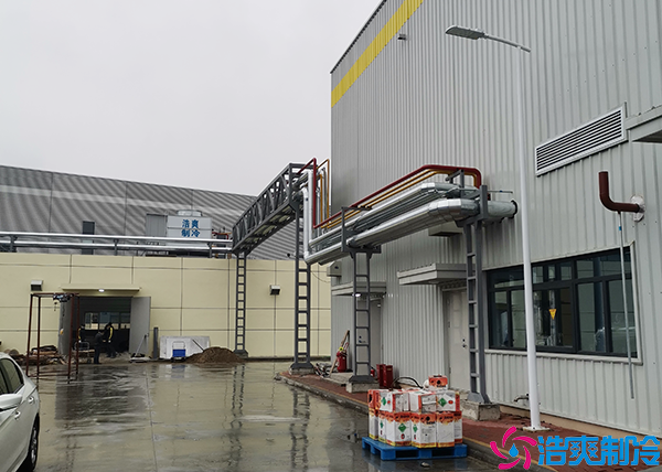 食堂水蜜桃在线视频