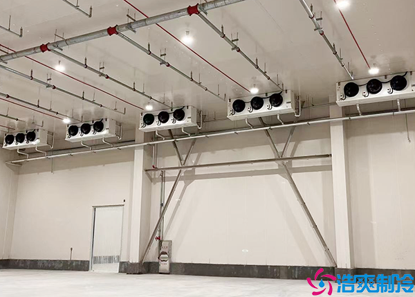 生鲜食品水蜜桃在线视频