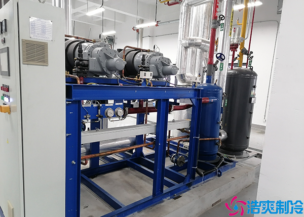 食品速冻水蜜桃在线视频设备