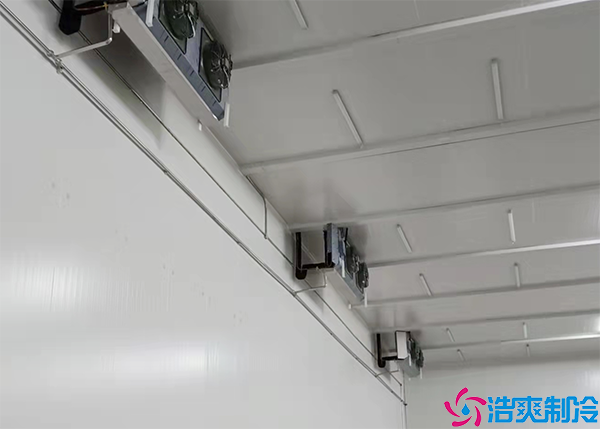 双温组装水蜜桃在线视频