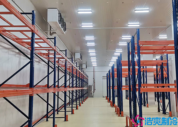 速冻冷藏水蜜桃在线视频