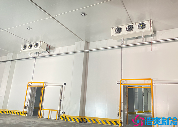 大型超市双温水蜜桃在线视频