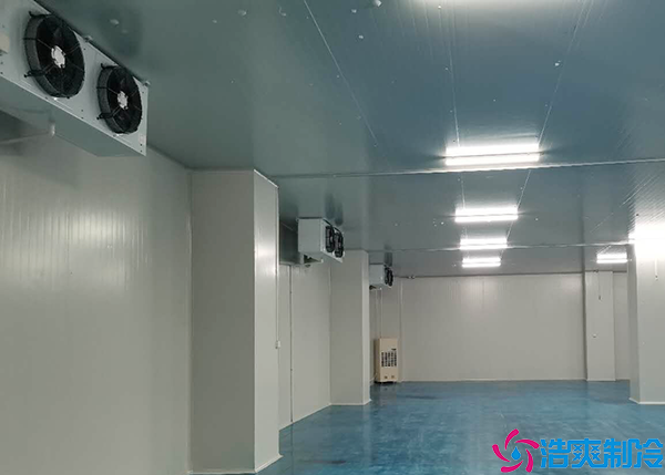 大型肉品水蜜桃在线视频