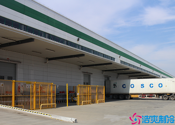 肉类水蜜桃在线视频