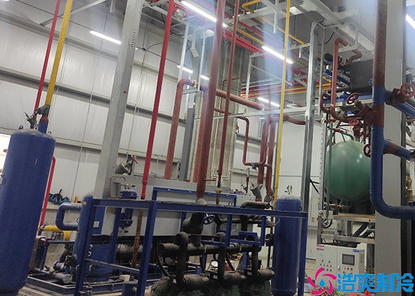 冷冻食品水蜜桃在线视频