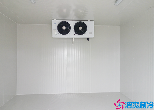 小型食品水蜜桃在线视频