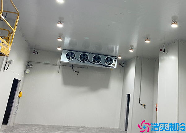 物流仓储水蜜桃在线视频