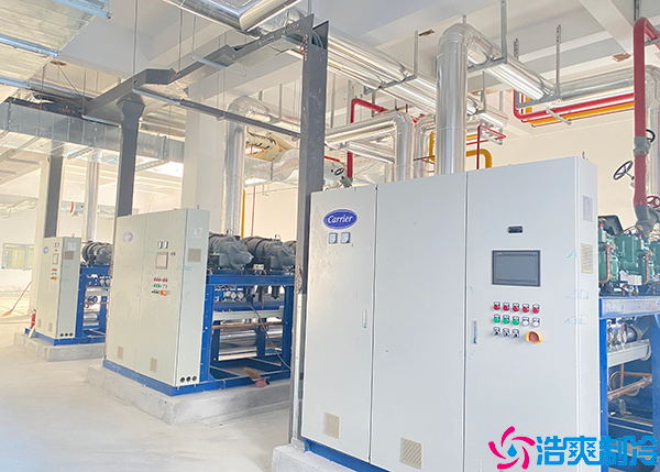 仓储物流水蜜桃在线视频