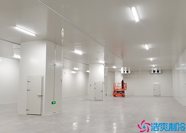 小型水蜜桃在线视频