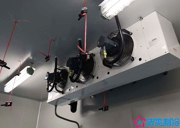 物流仓储水蜜桃在线视频