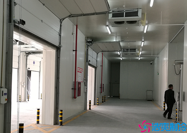 物流仓储水蜜桃在线视频