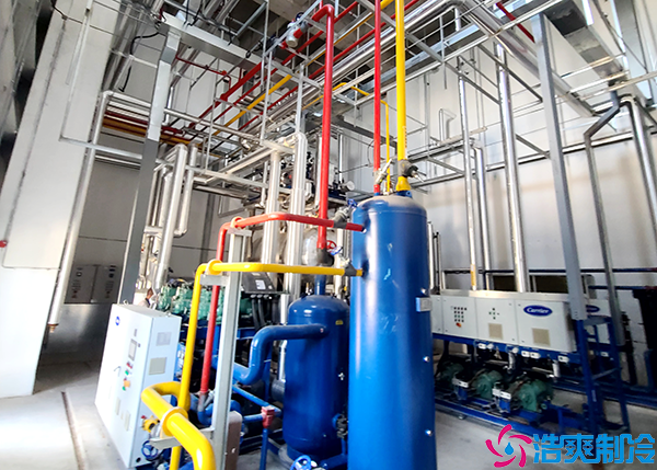 大型食品水蜜桃在线视频