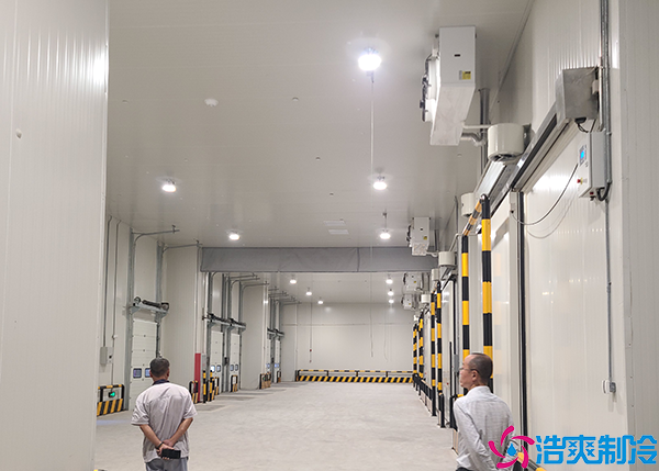 食品水蜜桃在线视频