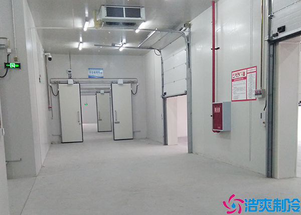 食品保鲜水蜜桃在线视频